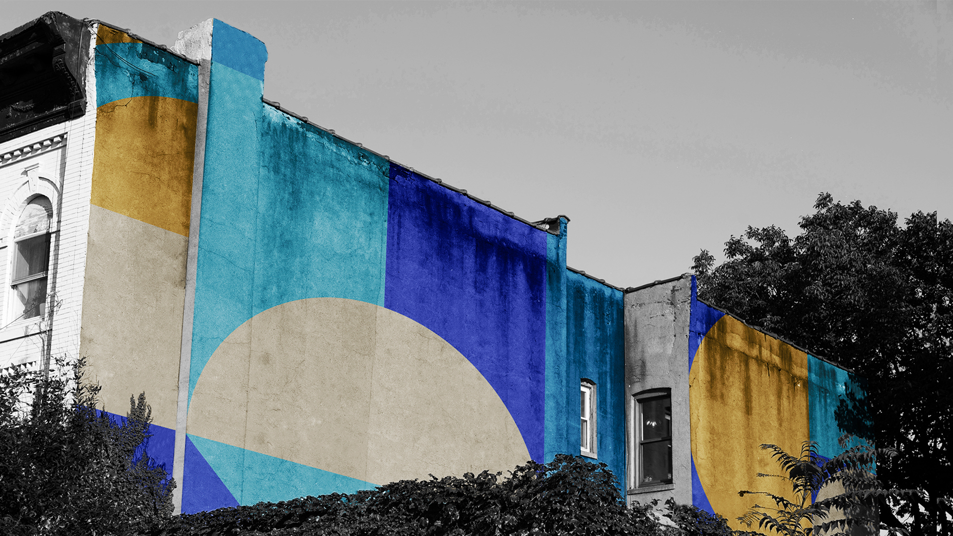 CIS-Schools — 15